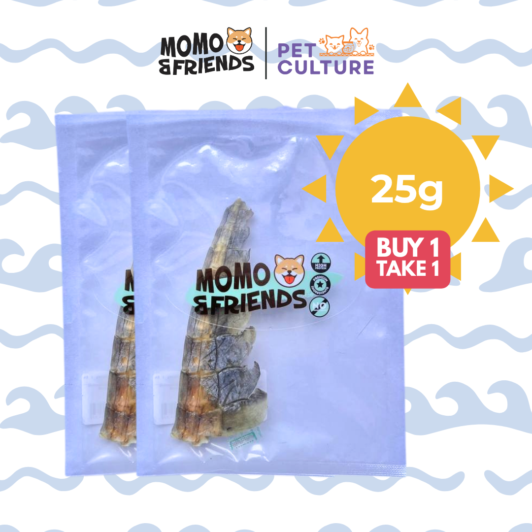 Momo & Friends Crocodile Tail 25g B1T1