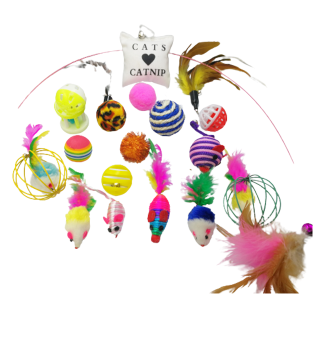 Cat Toys Package