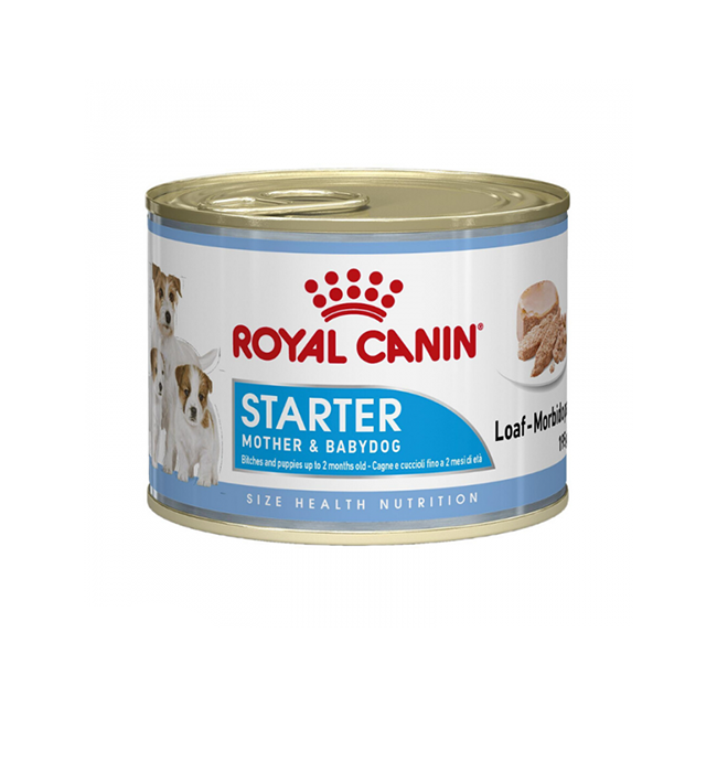 Royal Canin Starter Mousse Mother Babydog Wet Food 195g – Pet