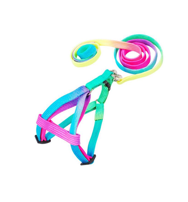 Pet Rainbow Leash With Harness