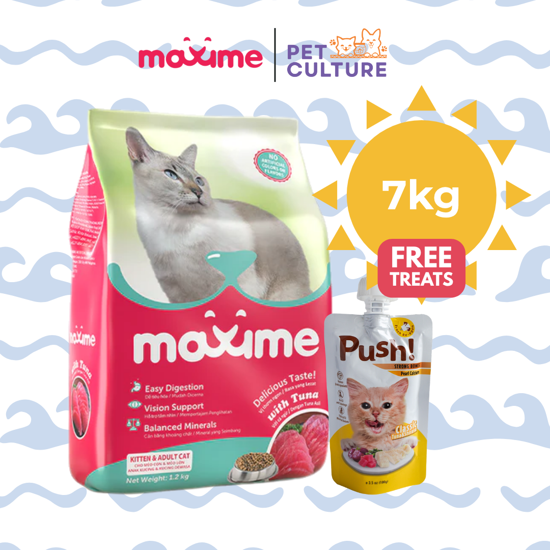Maxime Dry Cat Food Kitten & Adult Tuna Flavor 7kg w/ Push! Cat Wet Food Classic Tuna & Shirazu (Strong Bones w/ Pearl Calcium) 100g