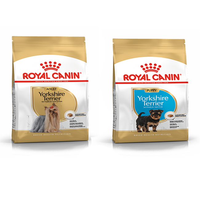 Yorkshire 2024 royal canin