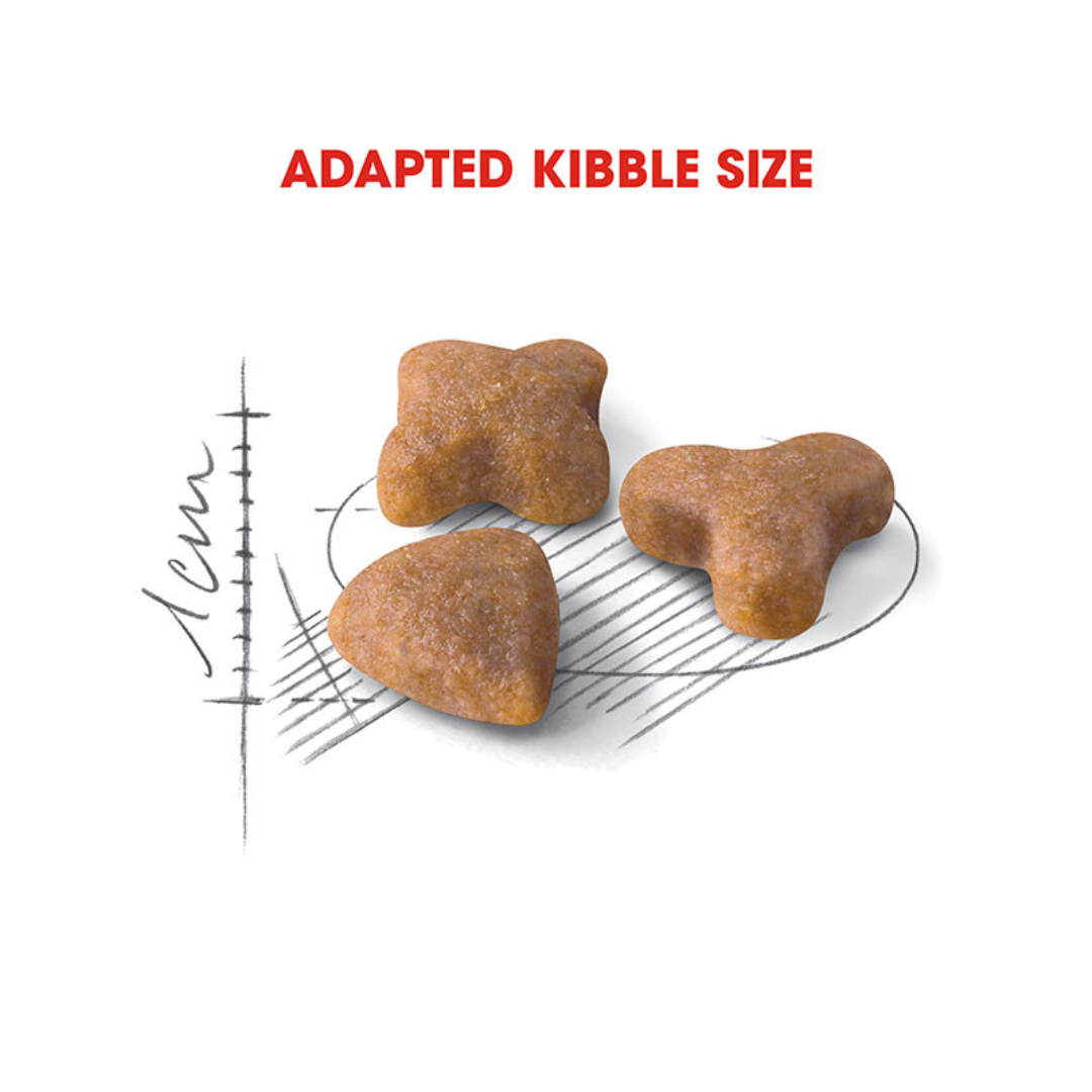Royal Canin Feline Health Nutrition Sensible 33 4kg