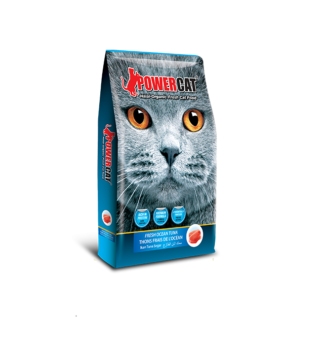 Power Cat Adult 8kg