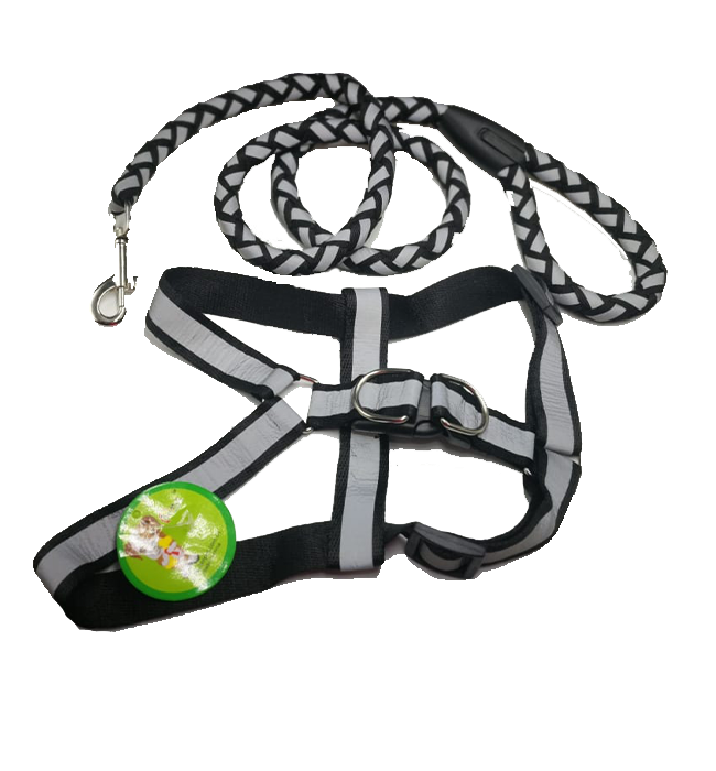 Reflectorized Strong diamond leash