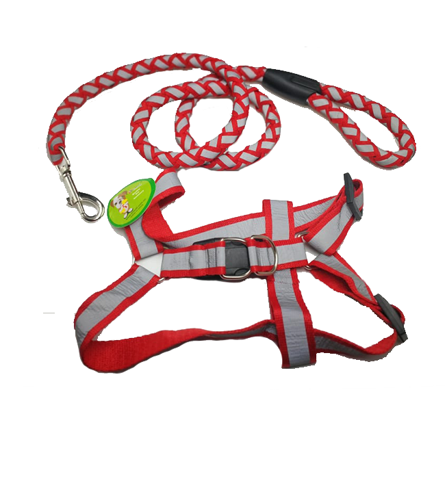 Reflectorized Strong diamond leash