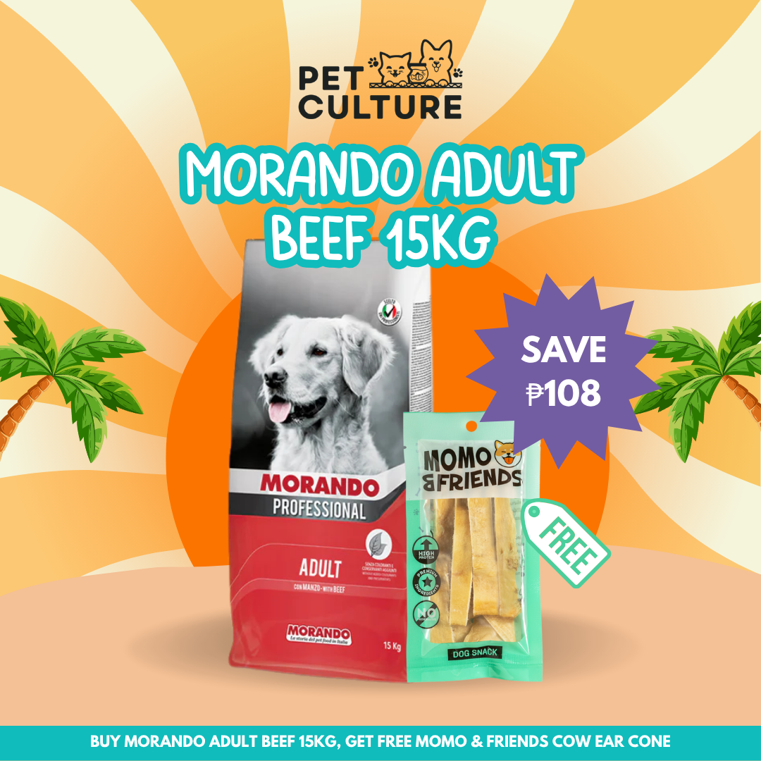 Morando Professional Beef Adult 15kg Dog Food w/ Momo and Friends Cow Ear Cone 20g
