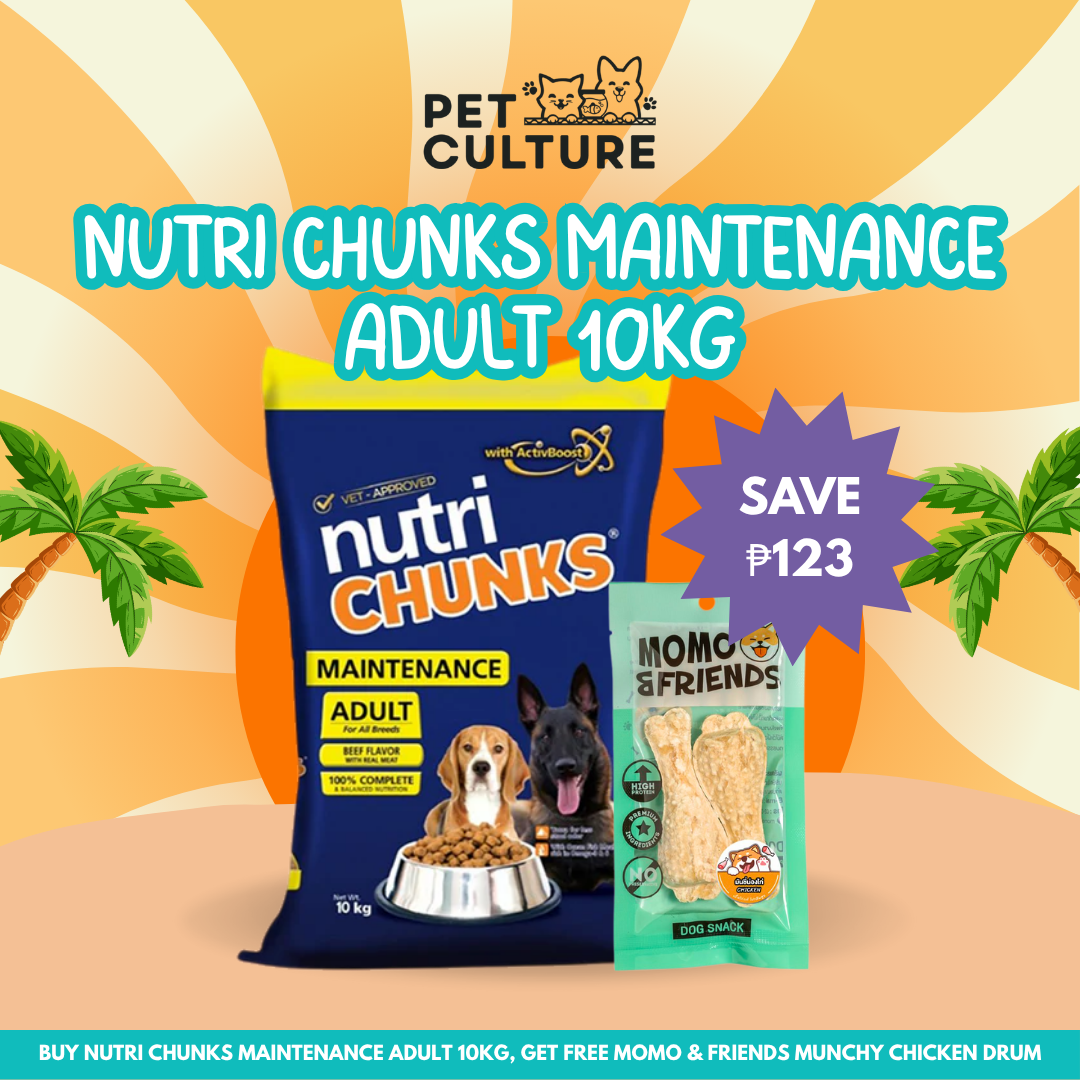 Nutri Chunks Maintenance Beef Adult 10kg Dog Food w/ Momo and Friends Munchy Chicken Drum 65g