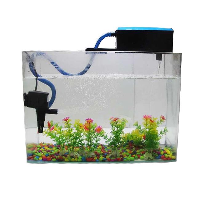 Aquarium clearance top filter