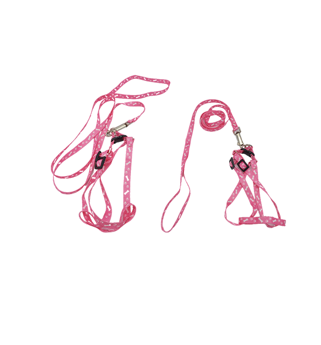 Small Leash for Dog/Cat