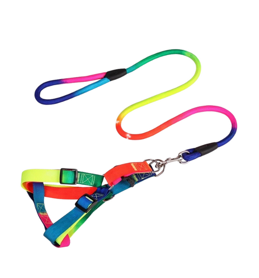 Colorful Rainbow Pet Dog Collar Harness Leash