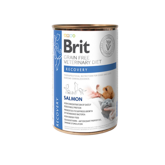 Brit Grain-Free Veterinary Diet Recovery Salmon 400g Dog and Cat Wet Food