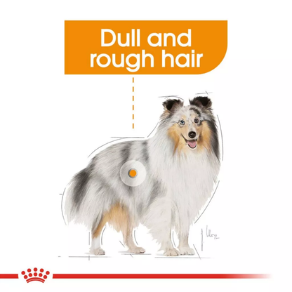 Royal Canin Coat Care All Sizes 85g