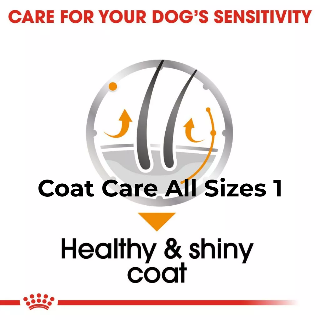 Royal Canin Coat Care All Sizes 85g