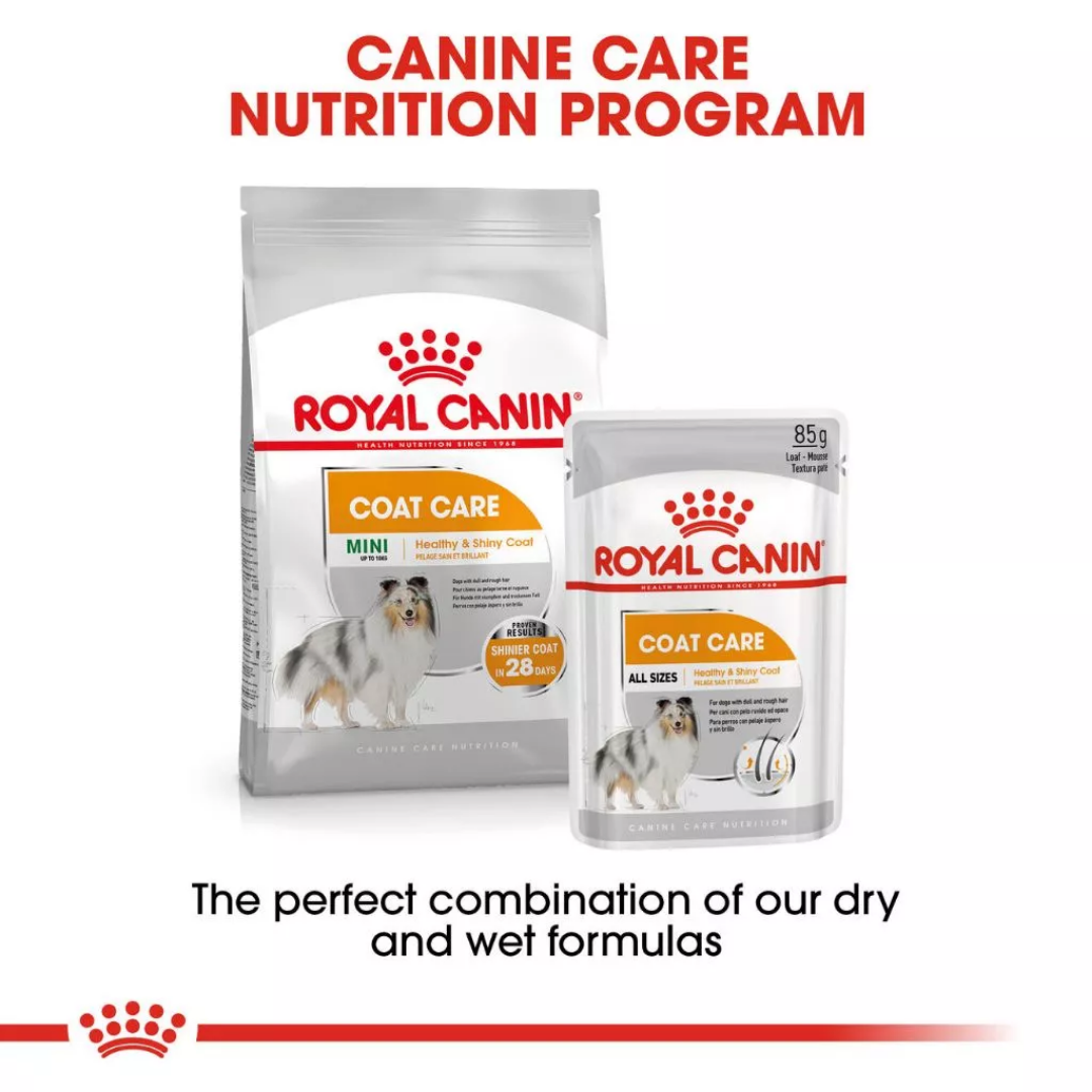 Royal Canin Coat Care All Sizes 85g