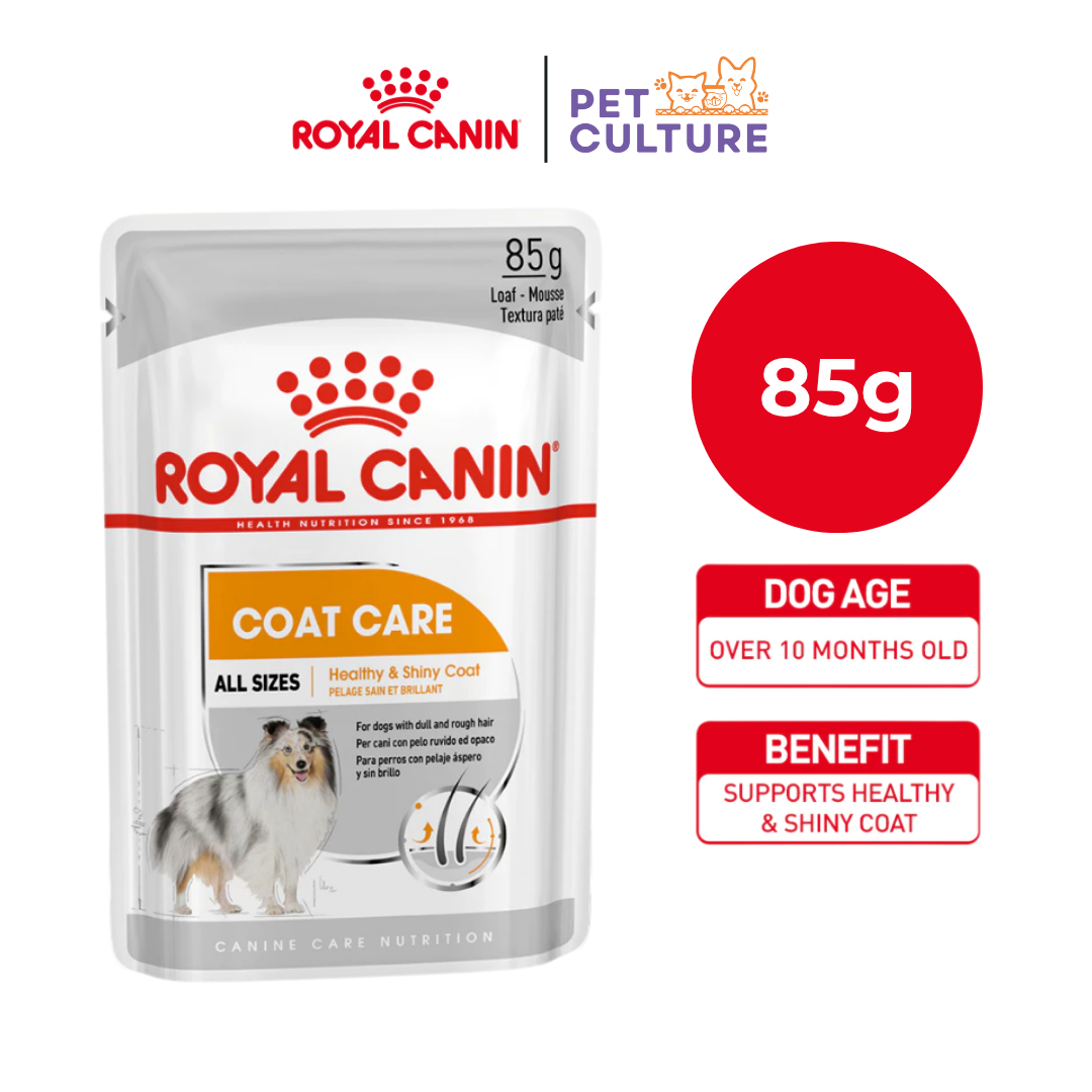 Royal Canin Coat Care All Sizes 85g