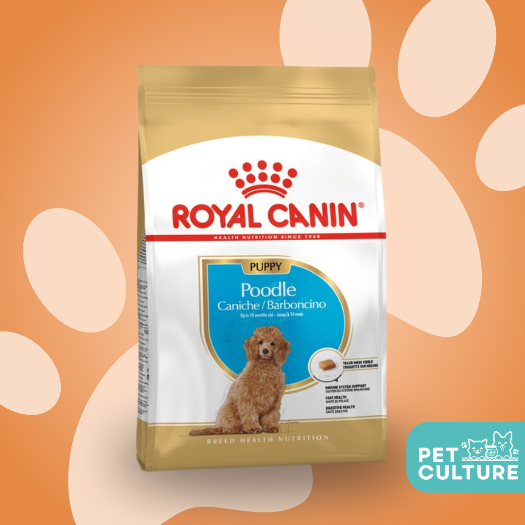 Royal Canin Poodle 500g Puppy