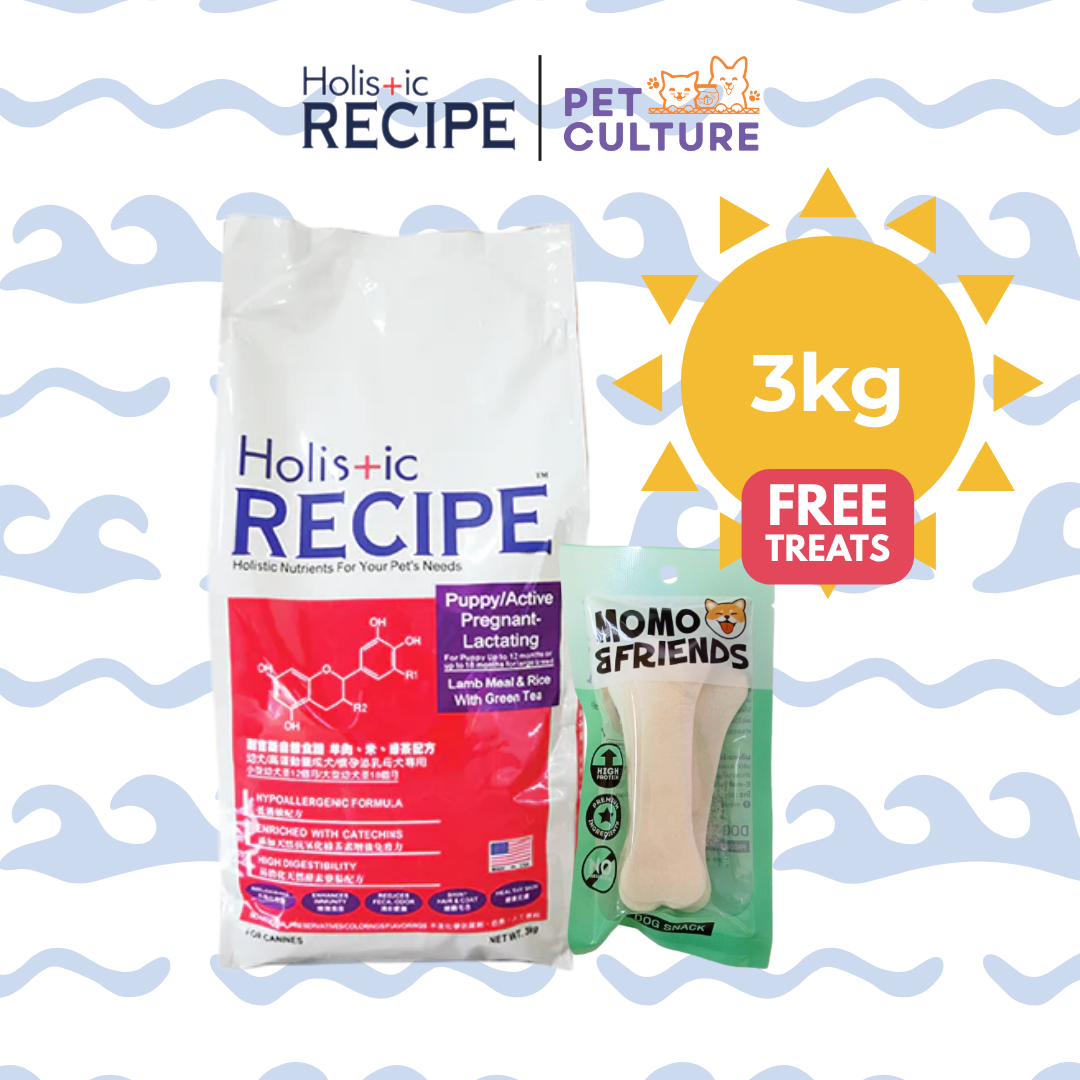 Holistic Recipe Puppy Lamb And Rice 3kg w/ Momo & Friends Dog Chew Treats 4-inch Flat Bone 30g