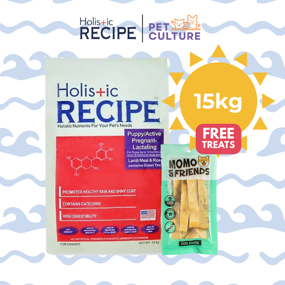 Holistic Recipe Puppy Lamb And Rice 15kg w/ Momo & Friends Dog Chew Treats Cow Ear Cone 20g