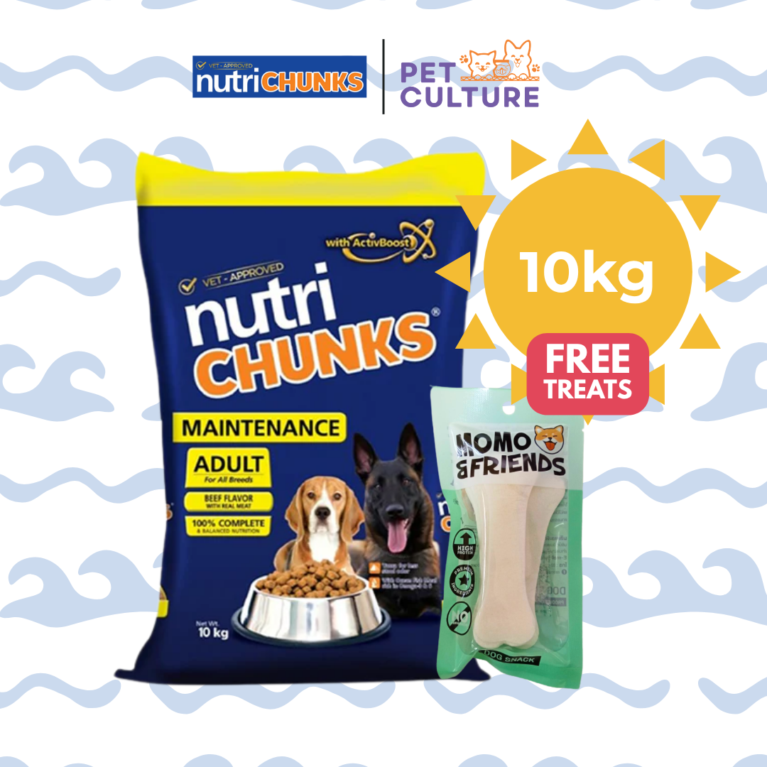 Nutri Chunks Maintenance Beef 10kg w/ Momo & Friends Dog Chew Treats 4-inch Flat Bone 30g