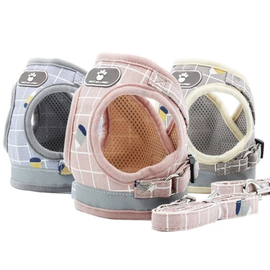 Lightweight & Breathable Mesh Pet Harness and Leash Set Medium