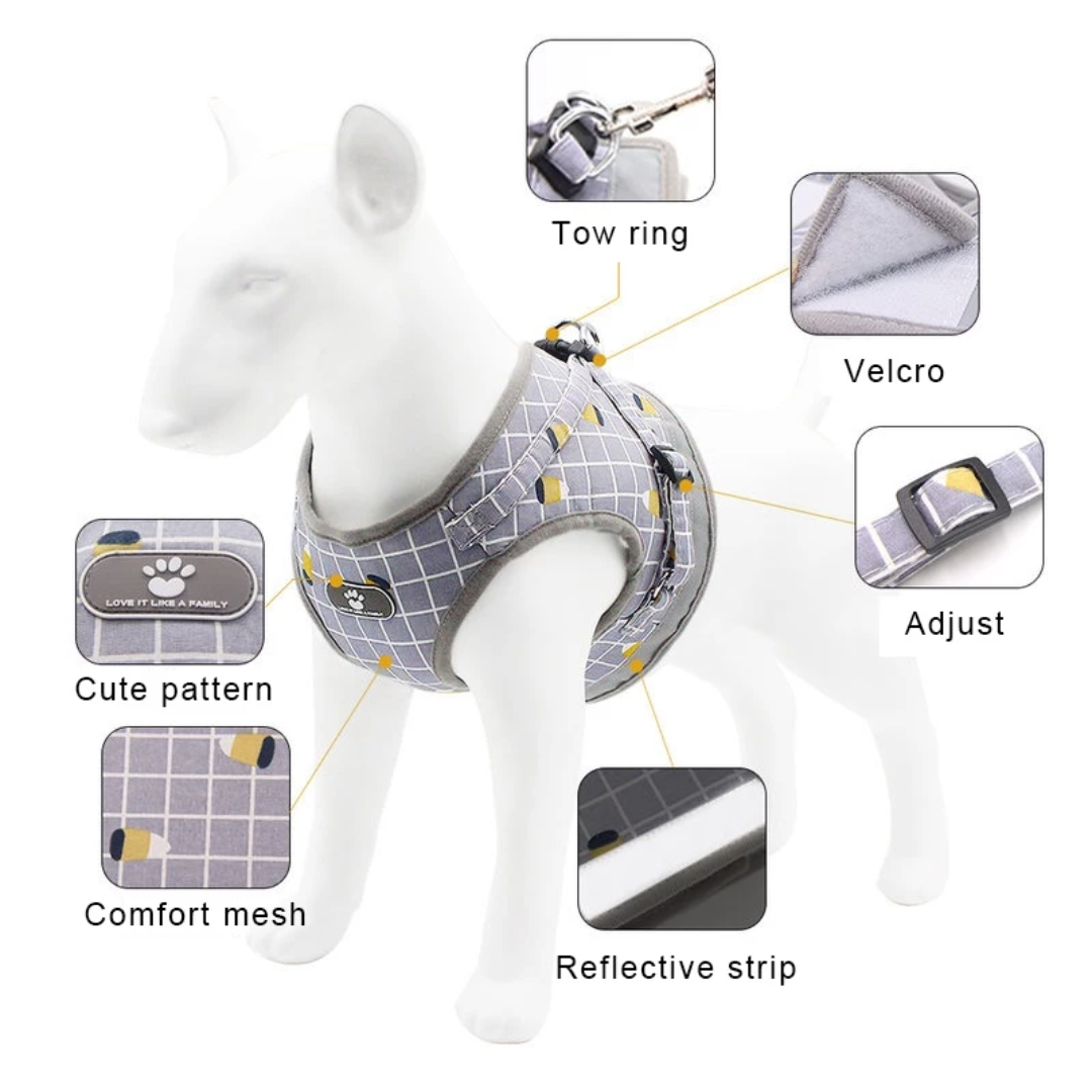 Lightweight & Breathable Mesh Pet Harness and Leash Set Medium