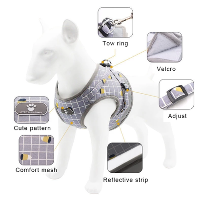 Lightweight & Breathable Mesh Pet Harness and Leash Set Medium