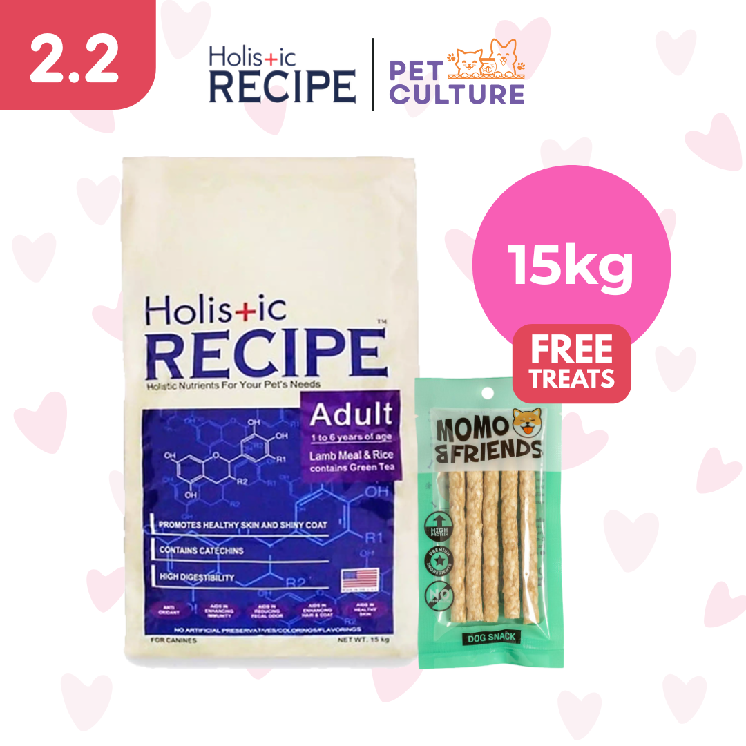 Holistic Recipe Adult Lamb And Rice 15kg w/ Momo & Friends Dog Chew Treats Crunchy Stick 65g