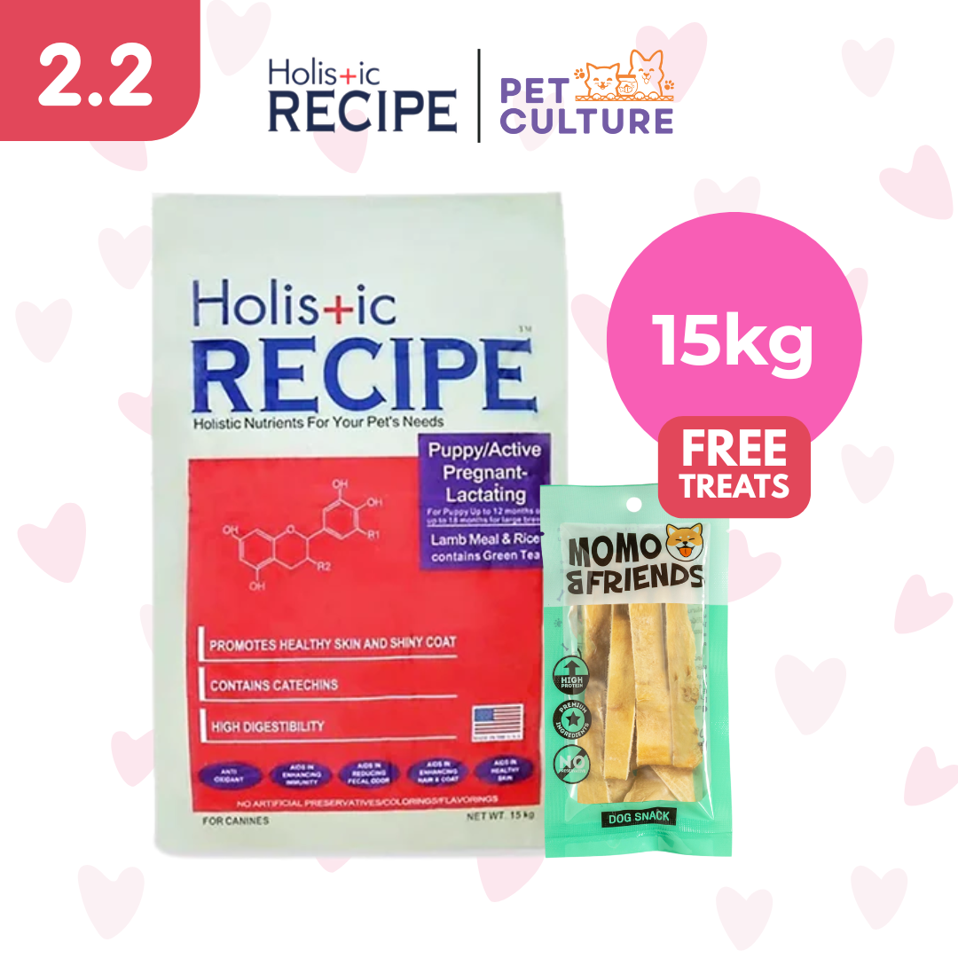 Holistic Recipe Puppy Lamb And Rice 15kg w/ Momo & Friends Dog Chew Treats Cow Ear Cone 20g