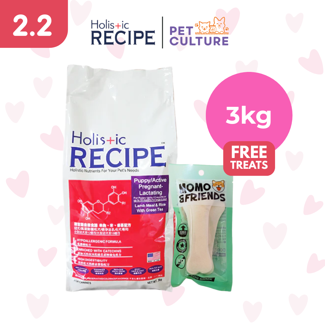 Holistic Recipe Puppy Lamb And Rice 3kg w/ Momo & Friends Dog Chew Treats 4-inch Flat Bone 30g