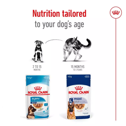 Royal Canin Maxi Adult Wet Food 140g