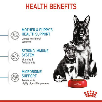 Royal Canin Maxi Starter Mother & Baby 4kg