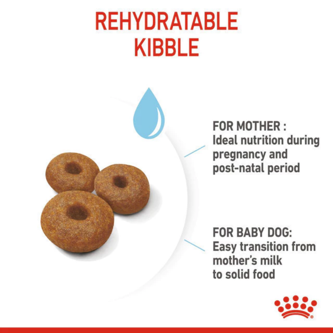 Royal Canin Maxi Starter Mother & Baby 4kg