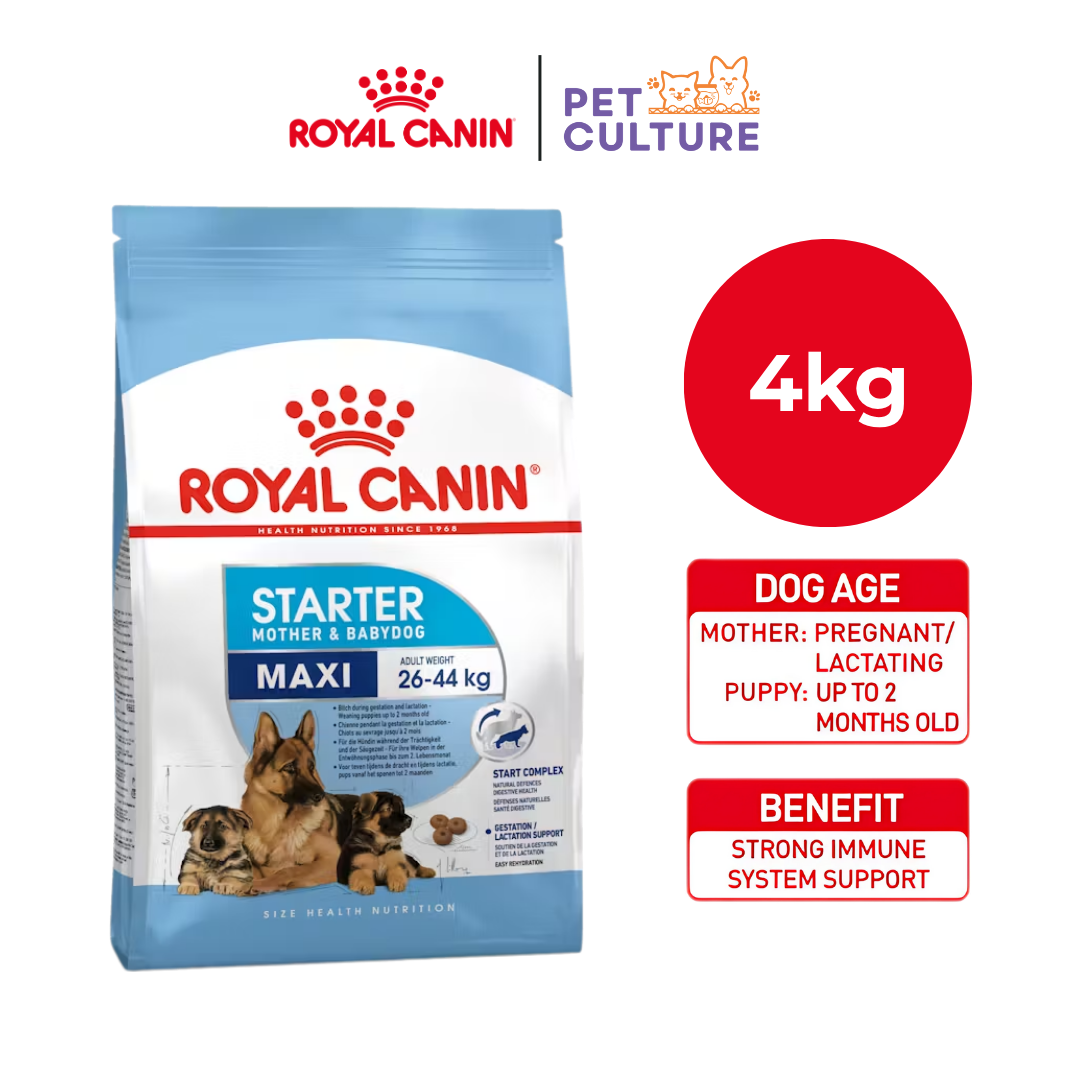 Royal Canin Maxi Starter Mother & Baby 4kg