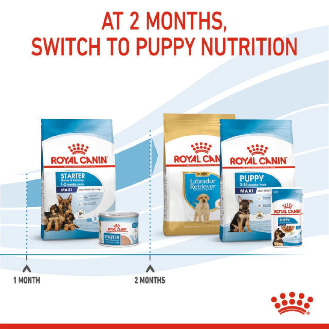 Royal Canin Maxi Starter Mother & Baby 4kg
