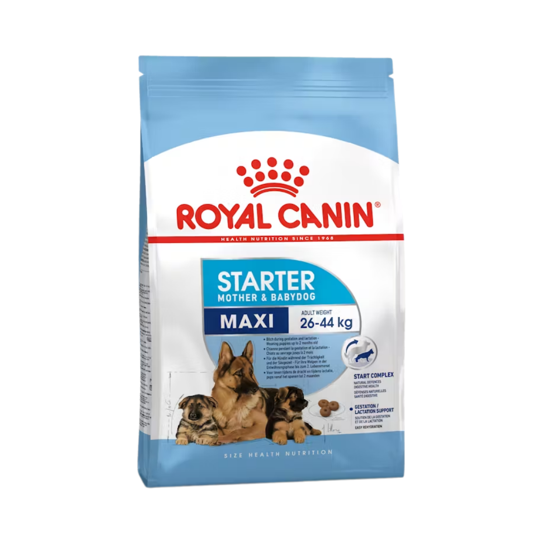 Royal Canin Maxi Starter Mother & Baby 4kg