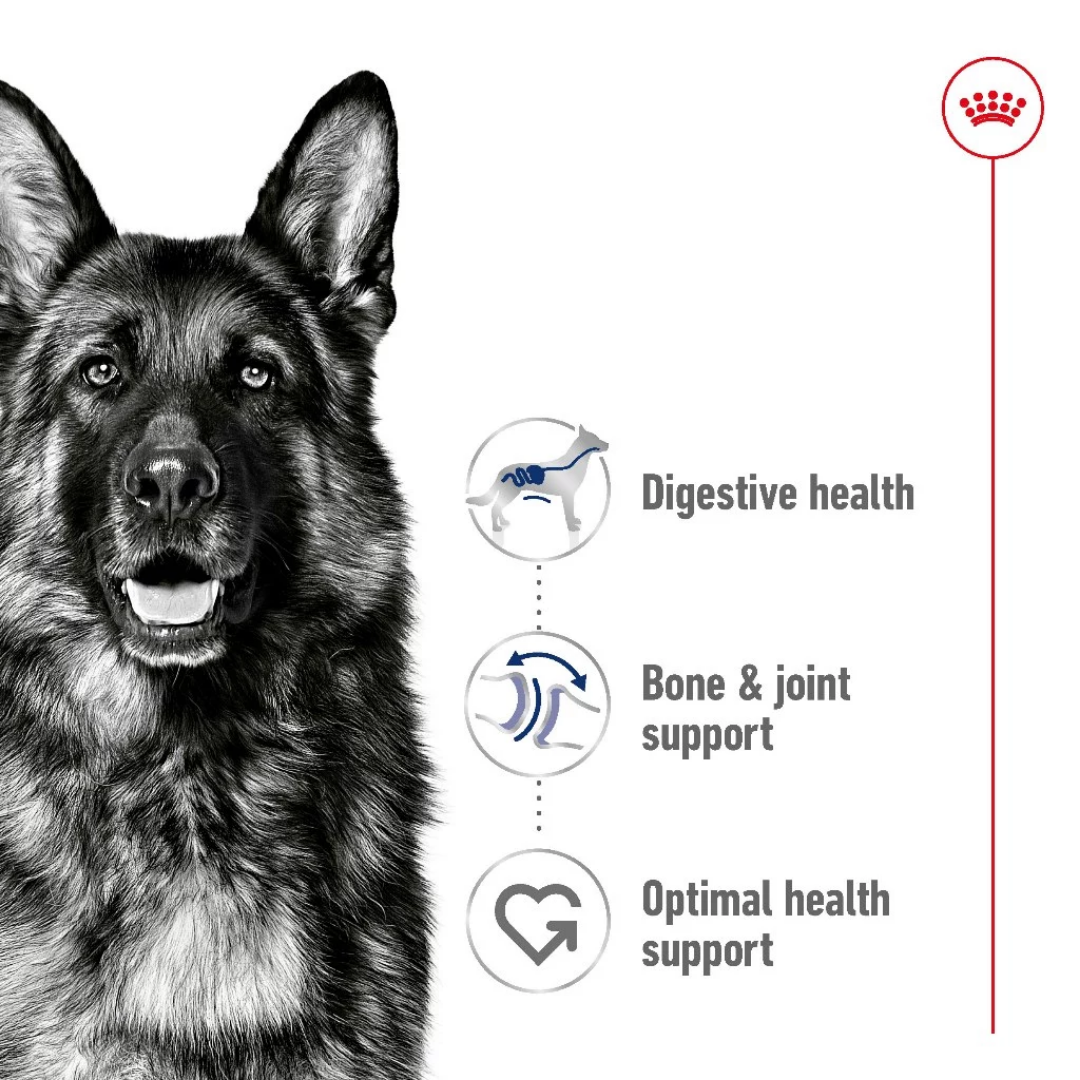 Royal Canin Maxi Adult 15kg