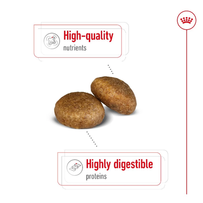 Royal Canin Maxi Adult 15kg