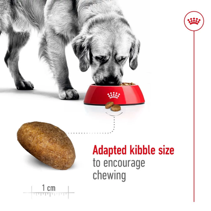 Royal Canin Maxi Adult 15kg