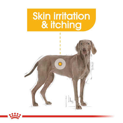 Royal Canin Maxi Dermacomfort 3kg