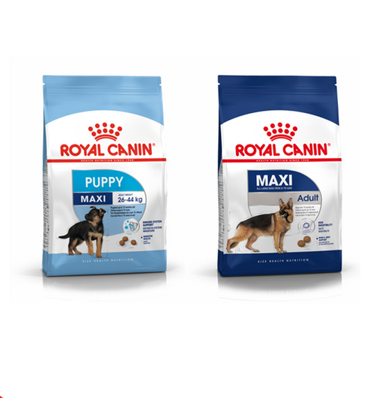 Royal Canin Maxi Adult & Junior