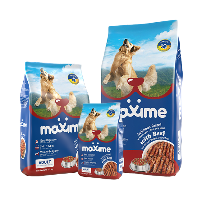 Maxime Dry Dog Food Adult Beef Flavor