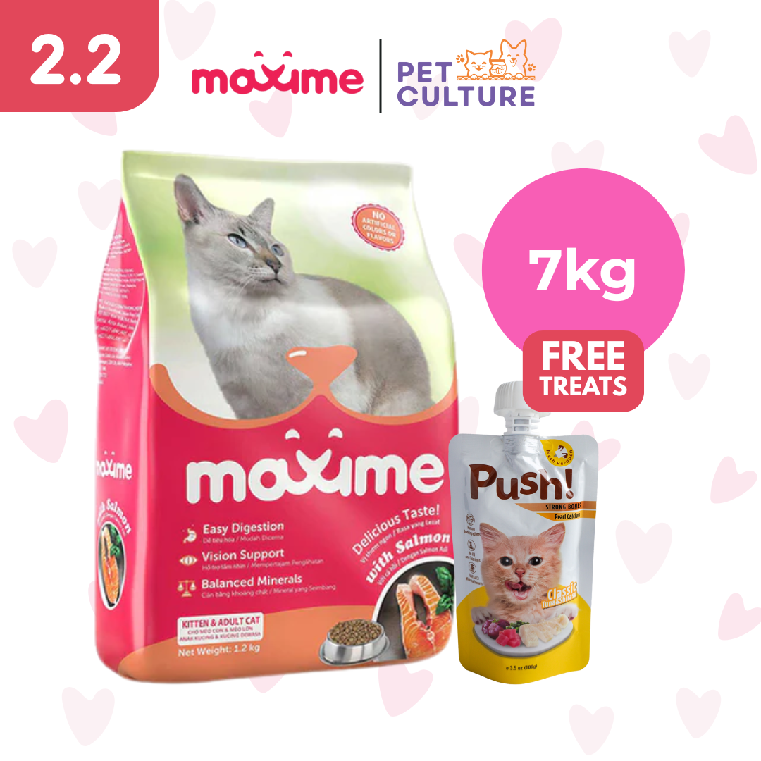 Maxime Dry Cat Food Kitten & Adult Salmon Flavor 7kg w/ Push! Cat Wet Food Classic Tuna & Shirazu (Strong Bones w/ Pearl Calcium) 100g