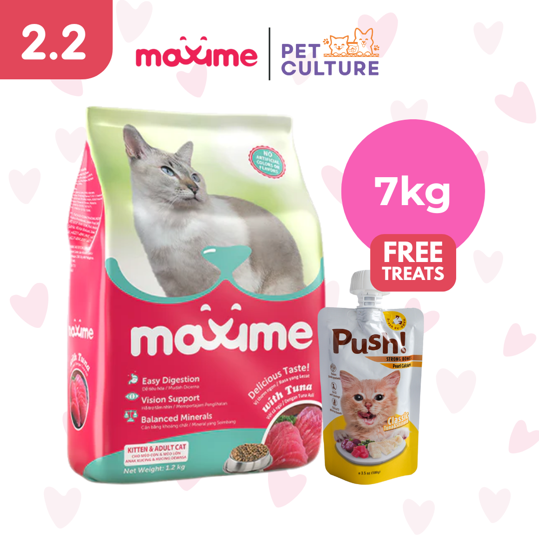 Maxime Dry Cat Food Kitten & Adult Tuna Flavor 7kg w/ Push! Cat Wet Food Classic Tuna & Shirazu (Strong Bones w/ Pearl Calcium) 100g