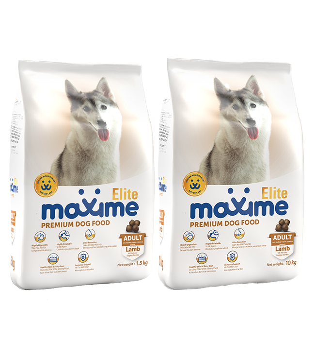 Maxime Elite Dry Dog Food Adult Lamb Flavor