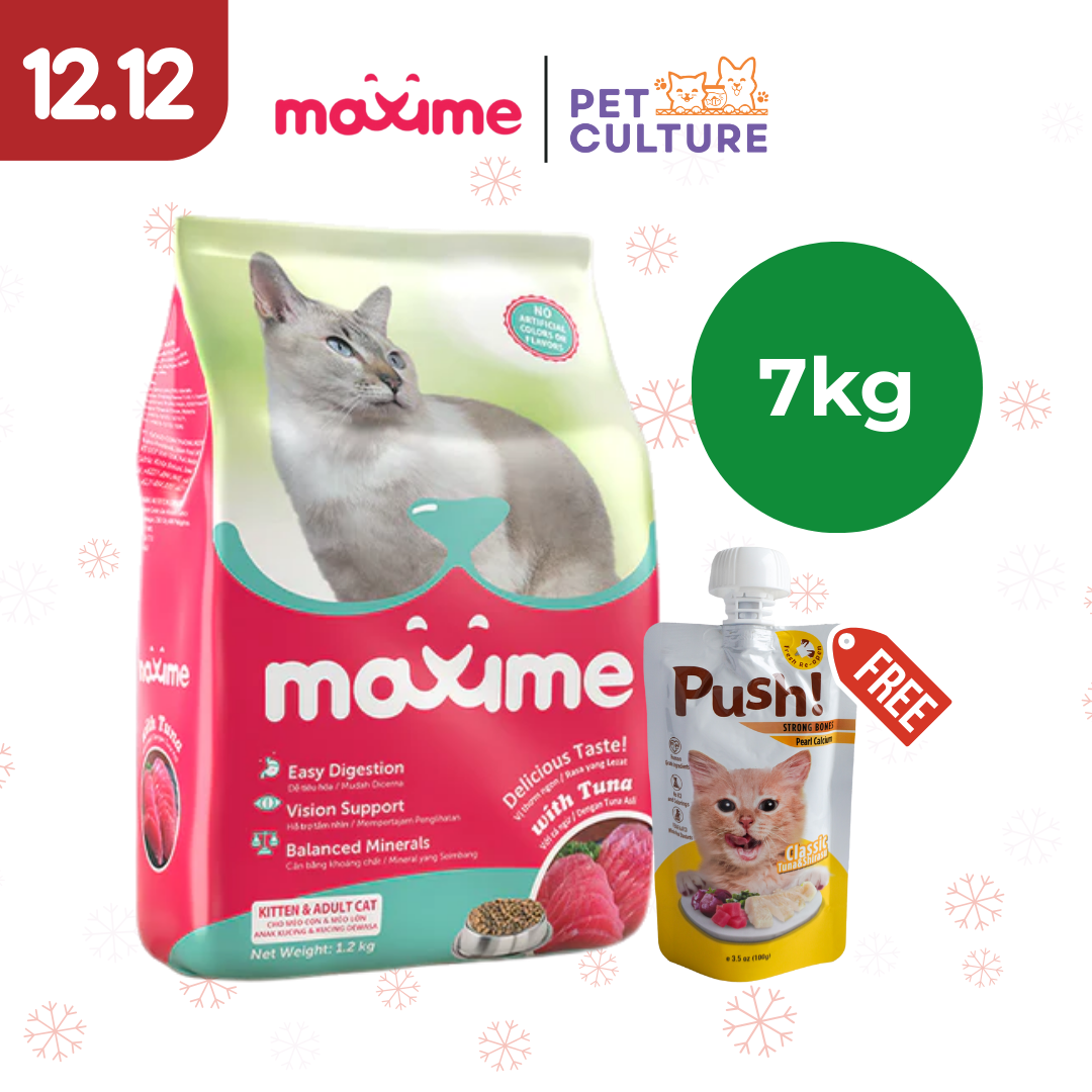 Maxime Dry Cat Food Kitten & Adult Tuna Flavor 7kg w/ Push! Cat Wet Food Classic Tuna & Shirazu (Strong Bones w/ Pearl Calcium) 100g