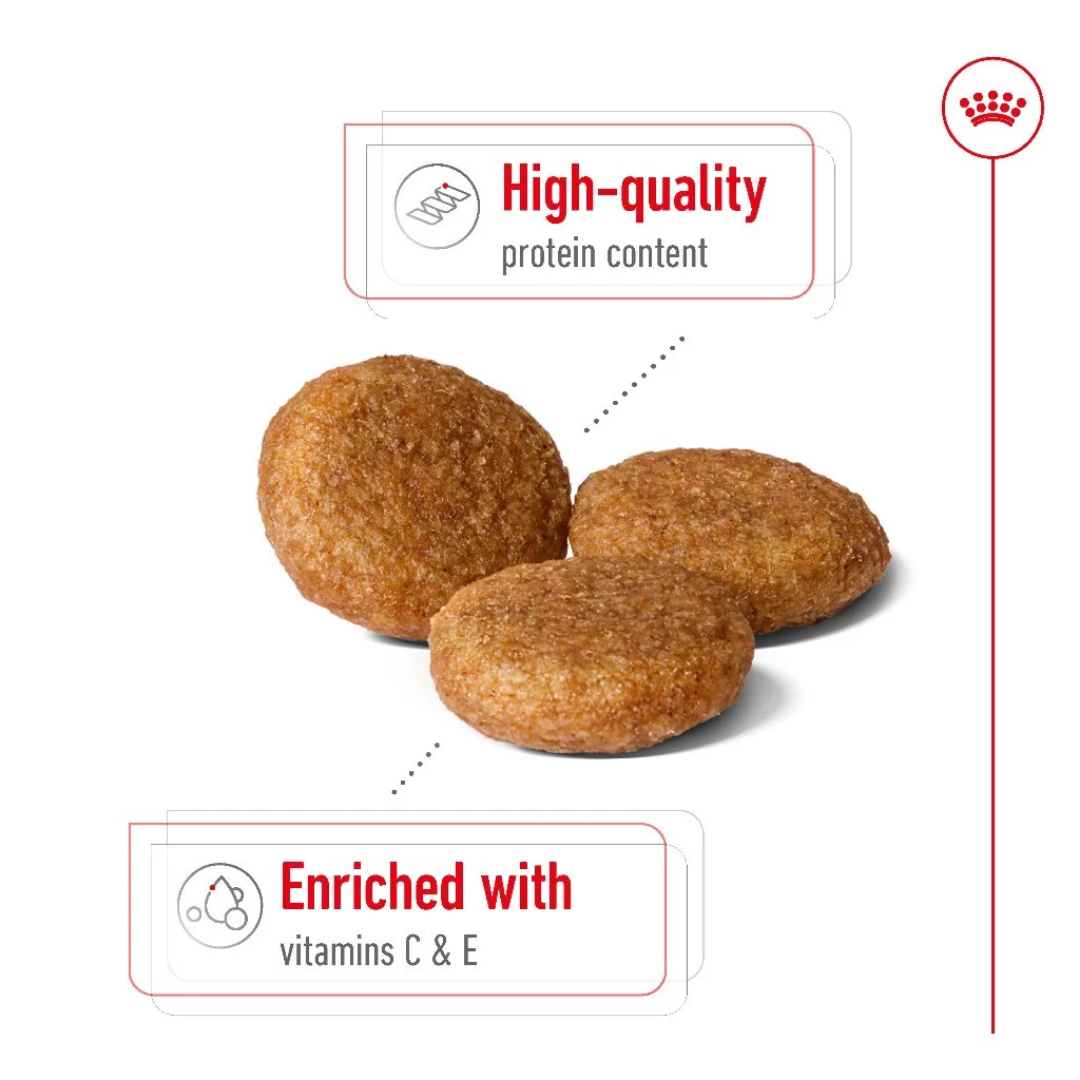 Royal Canin Medium Adult 4kg