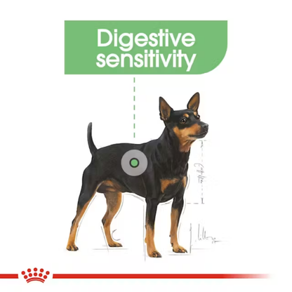 Royal Canin Digestive Care Mini 3kg
