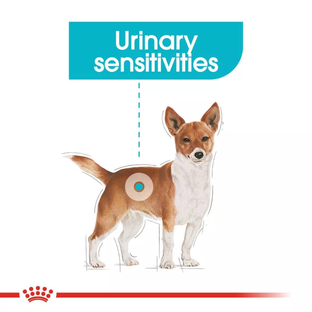 Royal Canin Mini Urinary Care 1kg