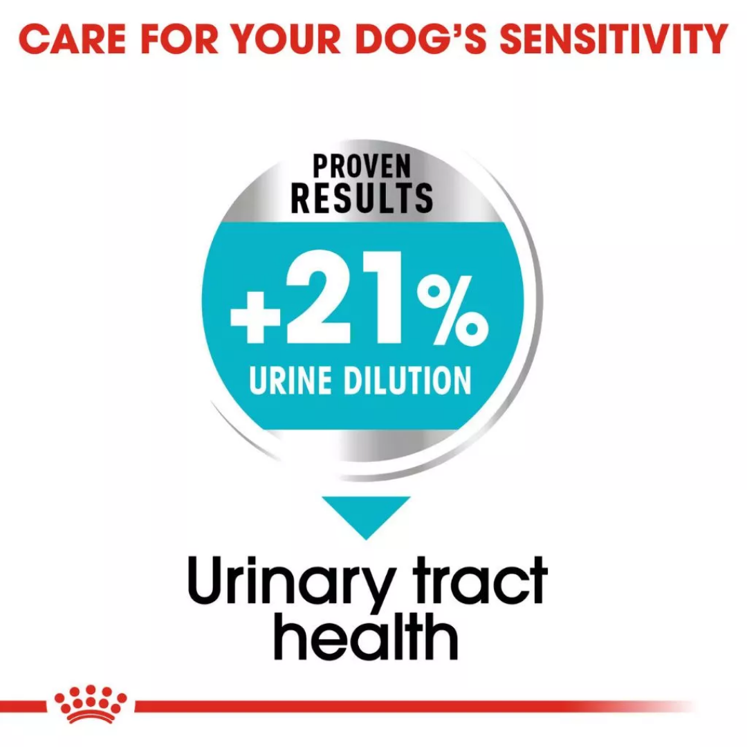 Royal Canin Mini Urinary Care 1kg